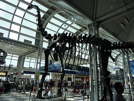 A casual brachiosaurus hanging out in Terminal 1