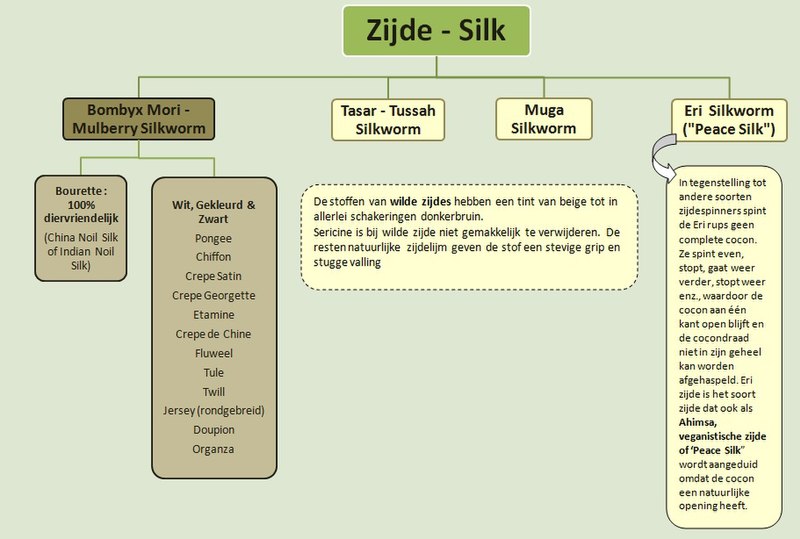 File:Officieel schema zijderupsen.jpg