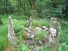 ** Die Ogham ** 220px-Ogham_stones_near_Baile_Mhic_%C3%8Dre_%28Ballymakeery%29_-_geograph.org.uk_-_2913