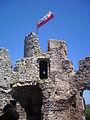 Een toren van het kasteel met de Poolse vlag