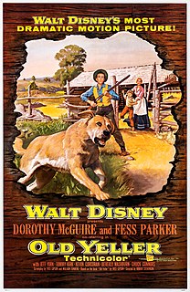 <i>Old Yeller</i> (film) 1957 film