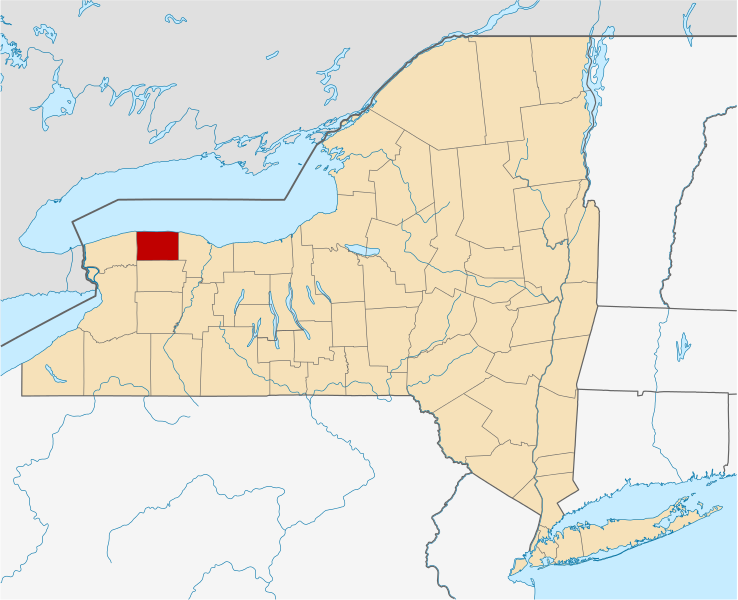 File:Orleans County in New York.svg