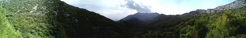 File:PANO 20140601 162826.jpg