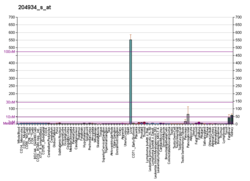 PBB GE HPN 204934 s в формате fs.png