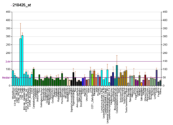 PBB GE TRIAD3 218425 at fs.png