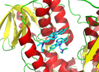 3D cartoon diagram of the trypanothione reductase protein bound to two molecules of inhibitors depicted as a stick diagrams.