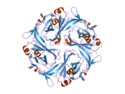 PDB 1u4f EBI.png