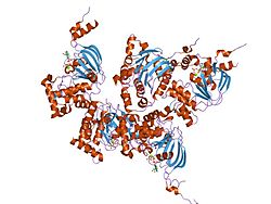 PDB 1xmi EBI.jpg