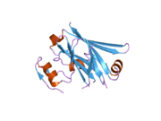 2a25: Crystal structure of Siah1 SBD bound to the peptide EKPAAVVAPITTG from SIP