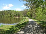 Čeština: Rybník Pařez. Okres Praha-východ, Česká republika.