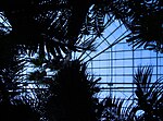 Thumbnail for File:Palm House, Phipps Conservatory, 2014-03-01.jpg