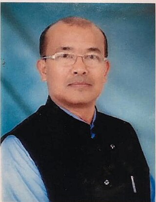 <span class="mw-page-title-main">Paonam Brojen</span> Indian politician