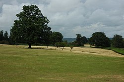 The Beatles filmed their promo clip for the song around a large tree in Knole Park in Kent.