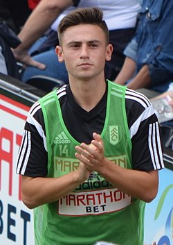 Anschauliches Bild des Artikels Patrick Roberts