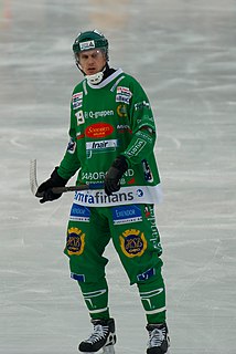 Patrik Nilsson Swedish bandy player (born 1982)