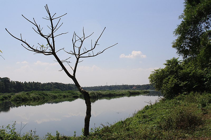 File:Periyar View from Manjaly Kadavu - panoramio (1).jpg