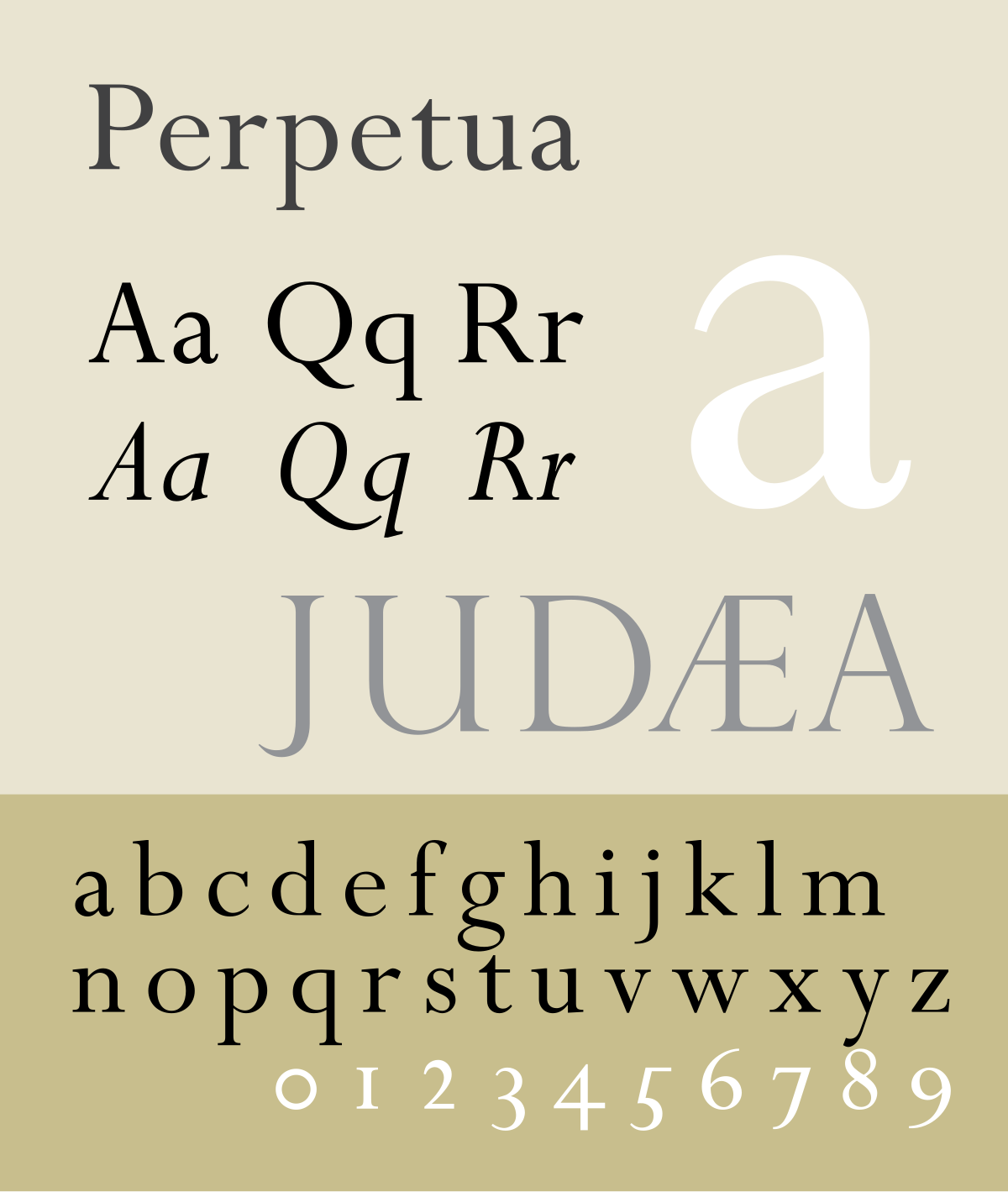 Typeface - Wikipedia