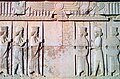 Persepolis hiriko erliebeak