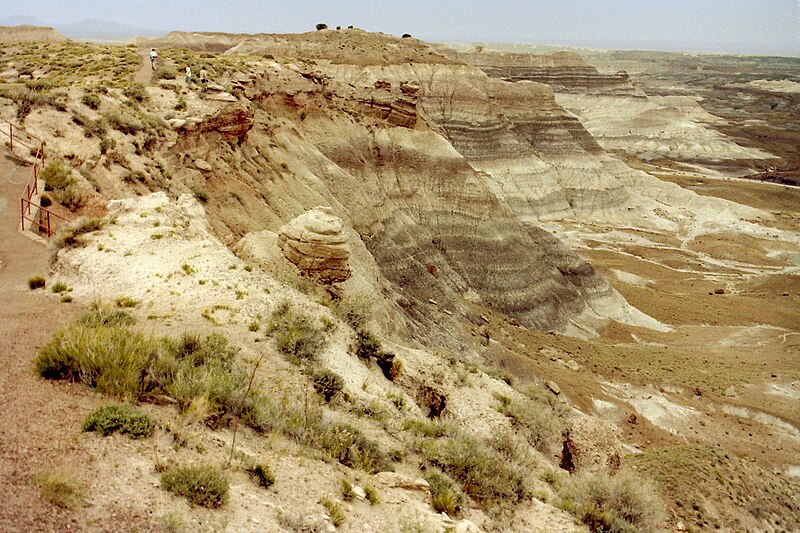 File:Petrified Forest NP08.jpg