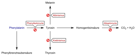 Corticosteroiden werking