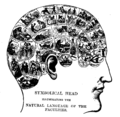 19th century Phrenology chart, from Fowlers&Wells