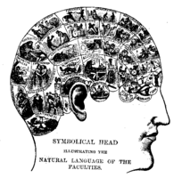 Phrenology chart (19th century).