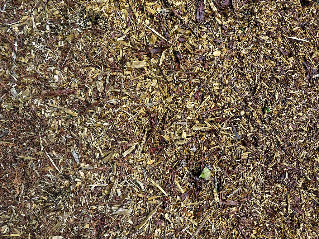  CIPPATRICE macchinario industriale 1024px-Pine_wood_chips_at_Hatfield_Broad_Oak%2C_Essex%2C_England