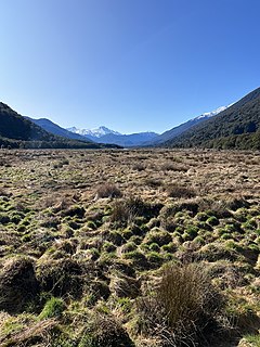 <span class="mw-page-title-main">Pleasant Flat</span> River flat in Haast Pass, New Zealand