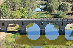 Ponte do Seda