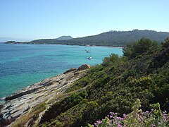 Paysage porquerollais.