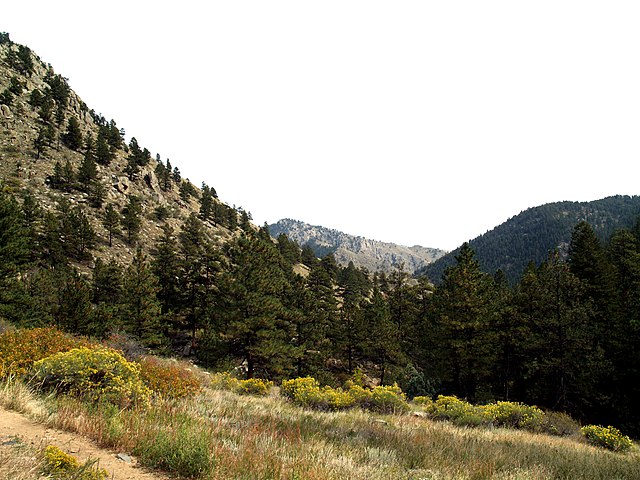 Greyrock Mountain trail