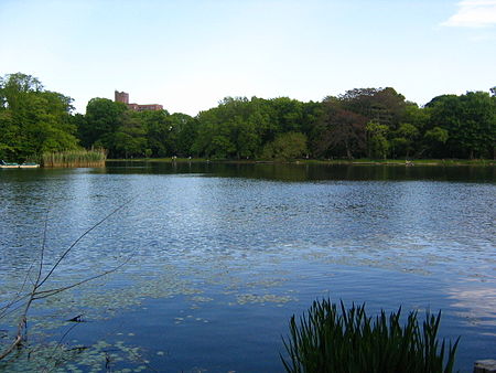 Prospect Park lake