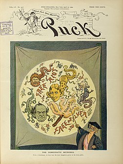 Capa de 1904 da revista Puck retratando figuras políticas contemporâneas como germes sendo examinados sob um microscópio, com a personificação de Puck como professor. Puck foi a primeira revista satírica de sucesso dos Estados Unidos do final do século XIX e início do século XX. Continha cartuns, caricaturas e sátiras políticas. A revista foi publicada de 1871 a 1918. (definição 3 917 × 3 917)