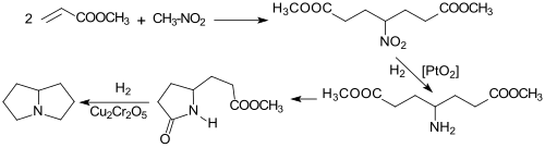 Pyrrolizidin via 4-Nitropimelat