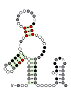 Flavi_xrRNA Secondary structure taken from the Rfam database. Family RF03547