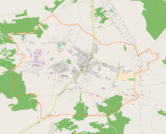Mapa konturowa Radomyśla Wielkiego, w centrum znajduje się punkt z opisem „Stary cmentarz żydowski w Radomyślu Wielkim”
