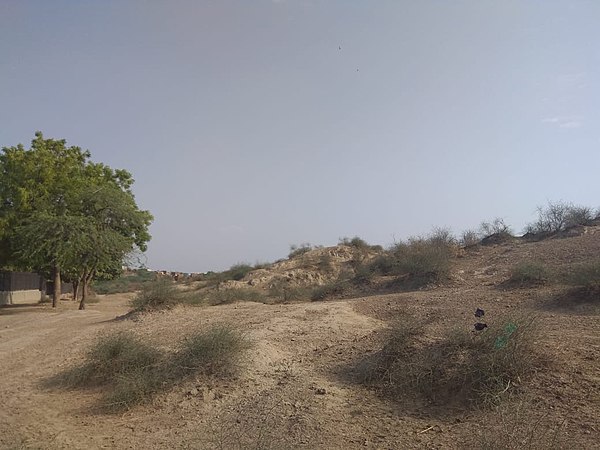 Image: Rakhigarhi Harappan civilization