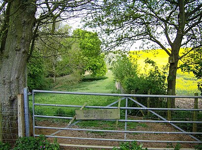 How to get to Ramsden Corner with public transport- About the place