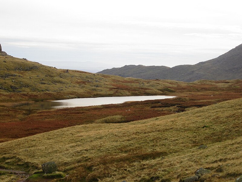 File:Red Tarn, Langdale (geograph 2930513).jpg