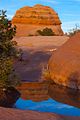 Reflection on the way back from Delicate Arch (8226465030).jpg