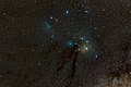 Antares nebula and Rho Ophiuchi amateur astrophoto