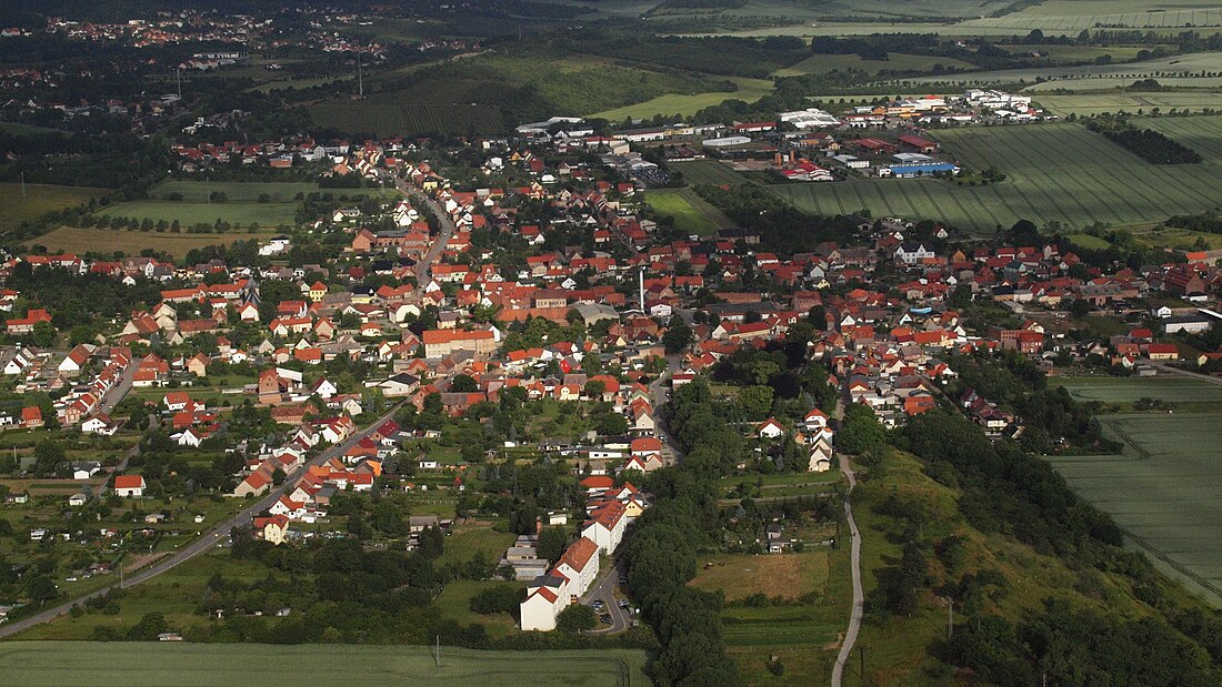 Rieder (Ballenstedt)