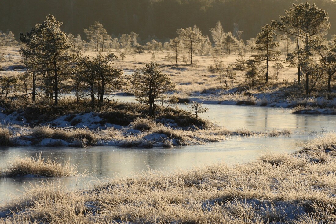 Soomaan kansallispuisto