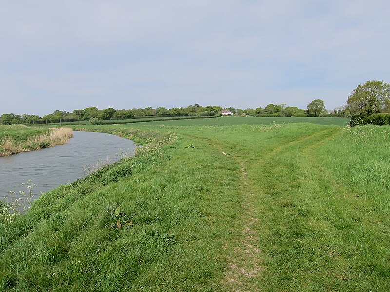 File:River Rother near Newenden - geograph.org.uk - 5373717.jpg