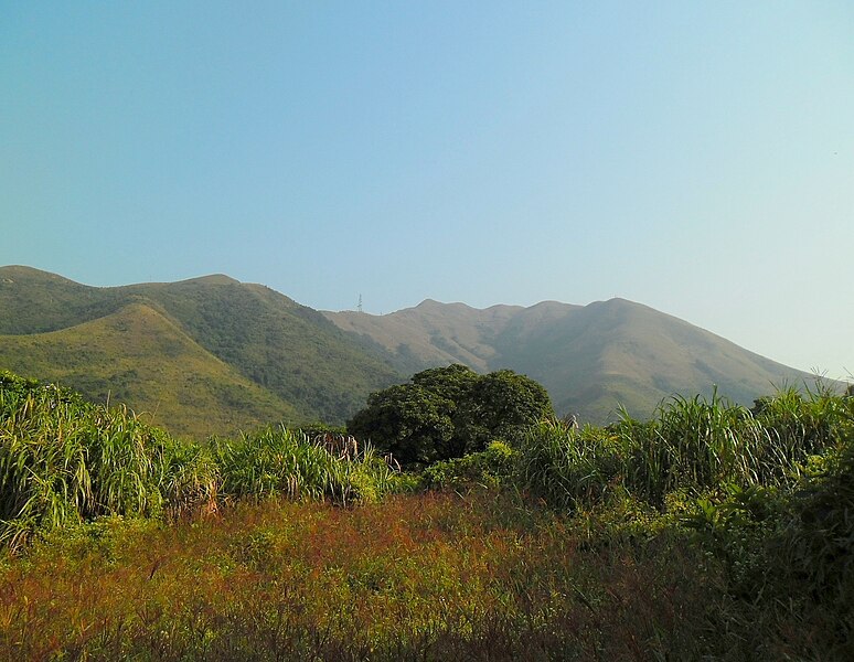 File:Robin's Nest(Hong Kong).jpg