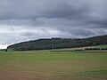 Ansicht des Rödeser Berges von Niederelsungen aus.