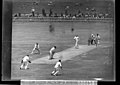 SLNSW 10822 Cricket England v NSW at the Sydney Cricket Ground.jpg