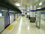 各駅にはホームドアが設置されている。（南鳩ヶ谷駅）