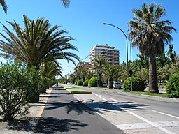 Gata nära stranden i San Benedetto del Tronto