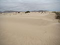 Sand Dunes (707806700).jpg